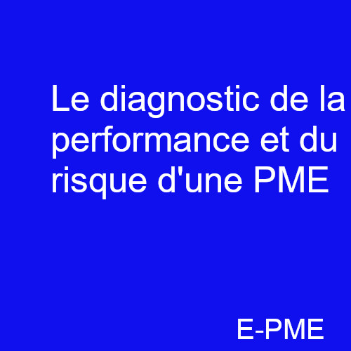 PRACPME05- Le diagnostic de la performance et du risque