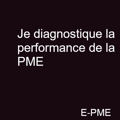 GPME6 - Je diagnostique la performance de la PME