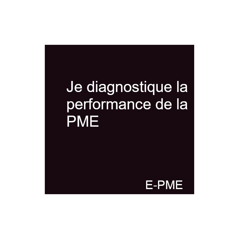 GPME6 - Je diagnostique la performance de la PME