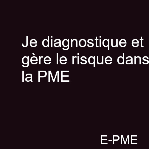 GPME12 - Je diagnostique et gère le risque dans la PME